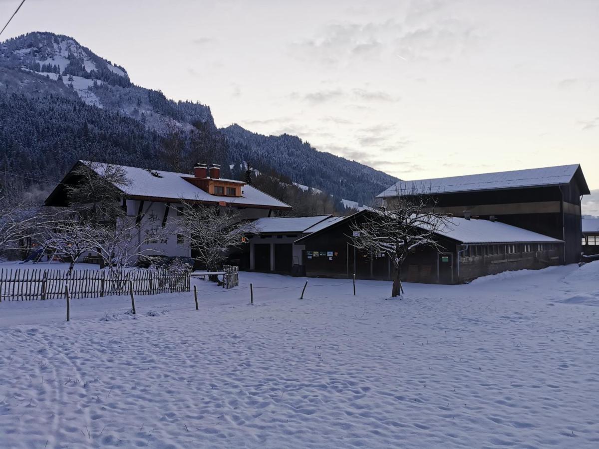 Ferienwohnung Wiesenblick Bad Hindelang Exterior photo